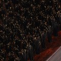 a4.jpg