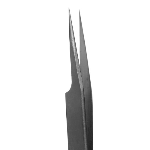 ve8.jpg