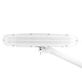 lamp5.jpg