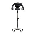 b1.jpg