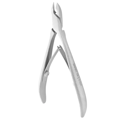 b50.webp