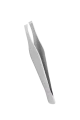 d20.webp